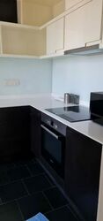 Village @ Pasir Panjang (D5), Condominium #513039741